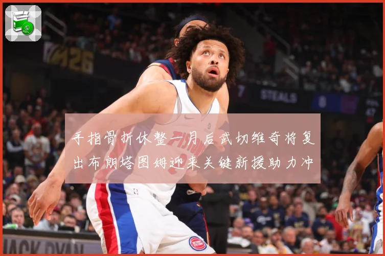 手指骨折休整一月后武切维奇将复出布朗塔图姆迎来关键新援助力冲成长观察