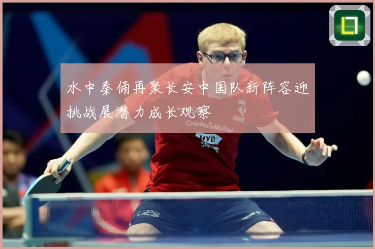 水中秦俑再聚长安中国队新阵容迎挑战展潜力成长观察
