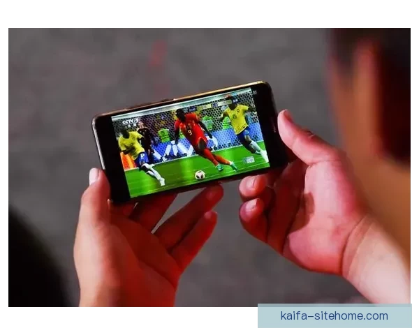 美加墨世界杯竞猜投注策略解析与热门球队胜负趋势深度指南 ⚽📊